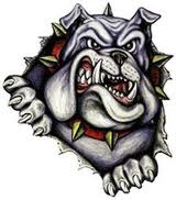 Bulldog coming through the scree