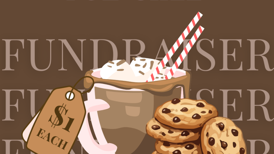 Student Fundraiser for WHO Lives